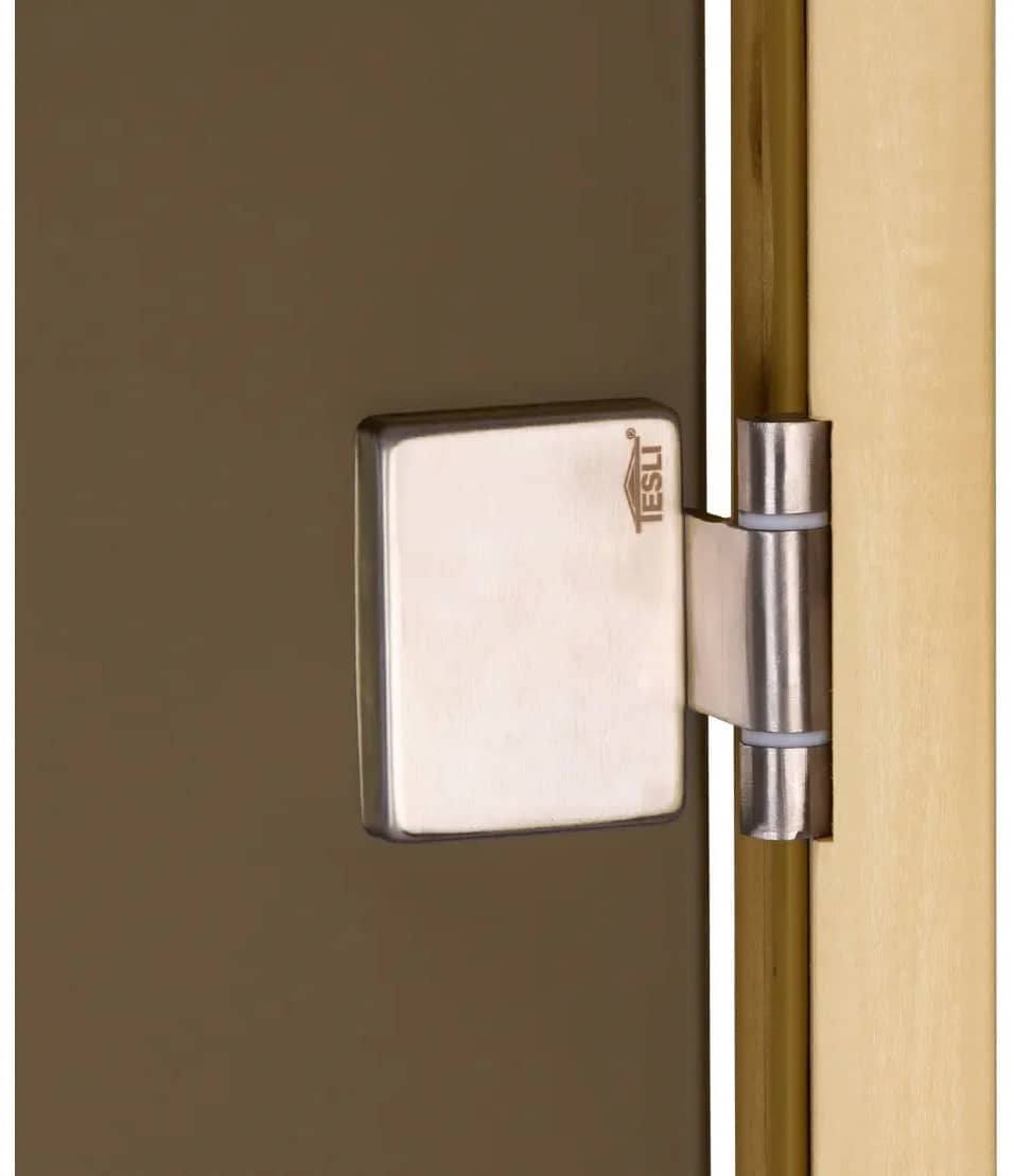 Петля из нержавеющей стали в двери Tesli Lux 800х1900